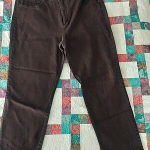 Gloria Vanderbilt Amanda brown 20W